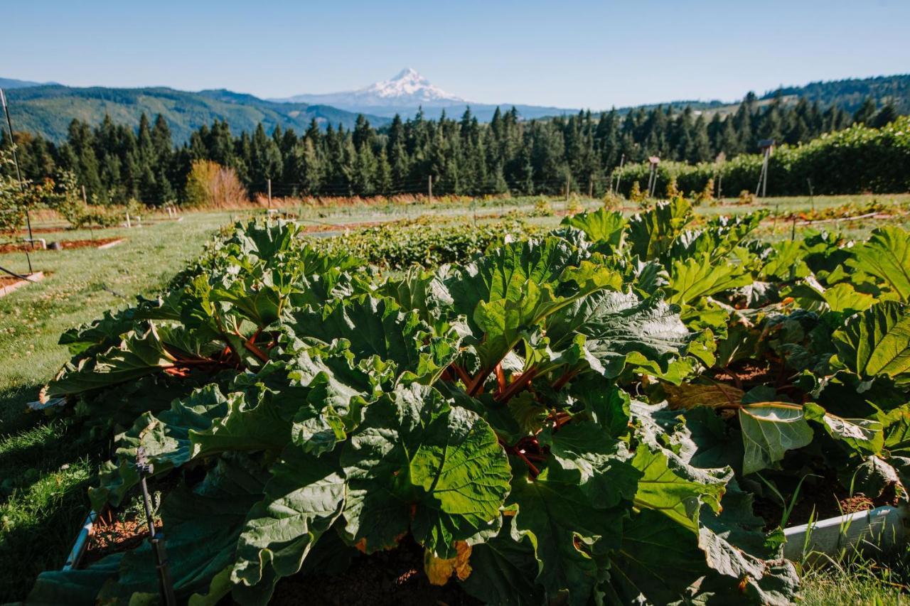 Sakura Ridge The Farm & Lodge Hood River Εξωτερικό φωτογραφία